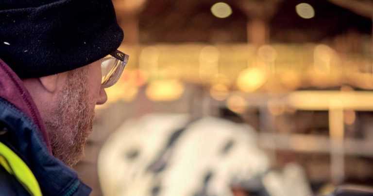 Addressing lameness in a farmer-accessible format