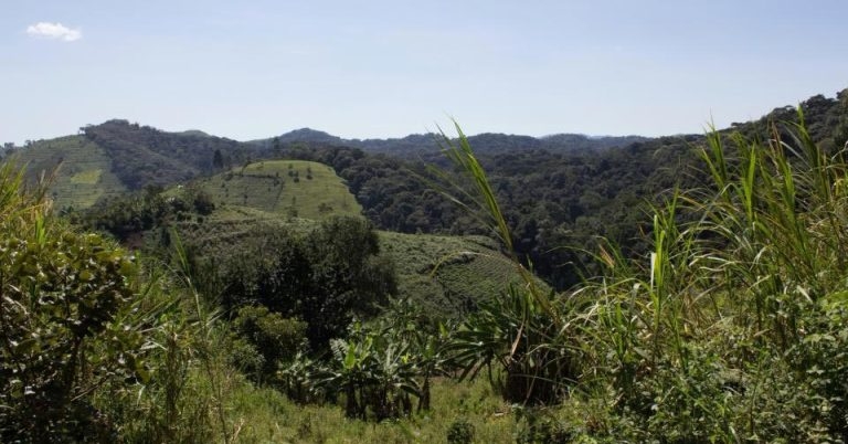 Vets to lead search for next potential pandemic