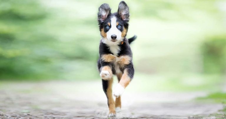 Exercise in hot weather accounts for three-quarters of heat-related illness – study