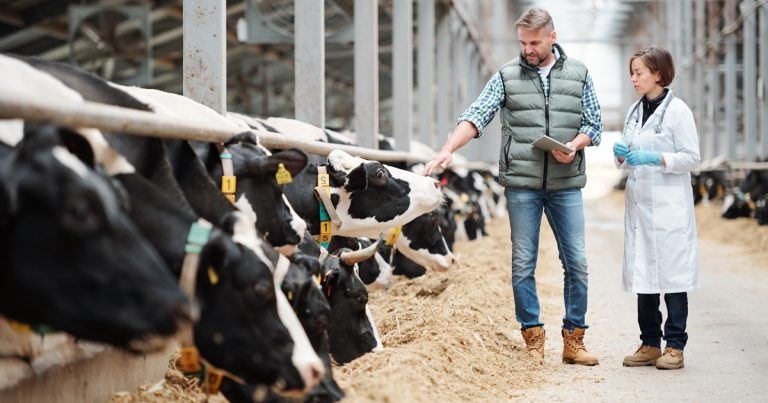 Training helps farmers meet Red Tractor meds requirements