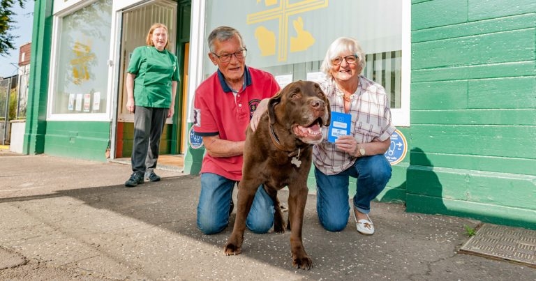 Surge in rabies blood tests for Biobest