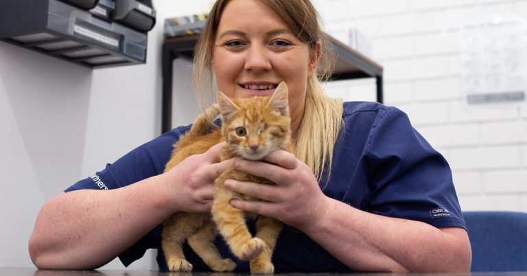 Pieces of lead removed from little Pirate