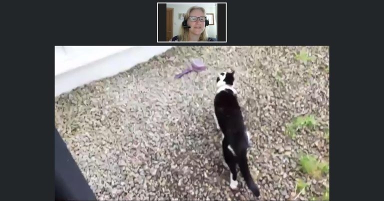 Survey aims to gauge telemedicine impact