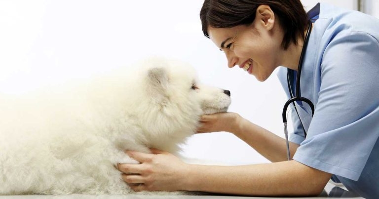 My COVID Diaries: enjoy the everyday and you will enjoy every day