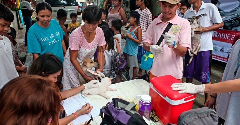 WSAVA webinars highlight rabies welfare work