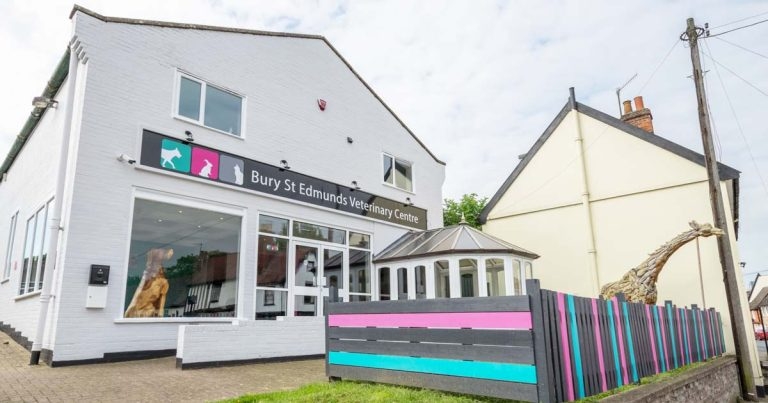 Practice Profile: Bury St Edmunds Veterinary Centre