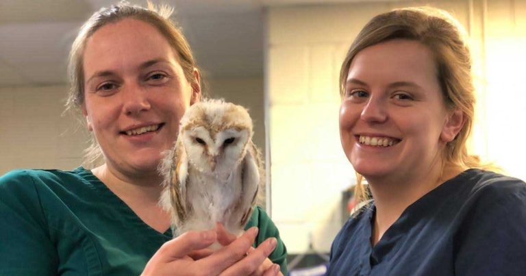 Owl’s zat! Baby August caught just in time