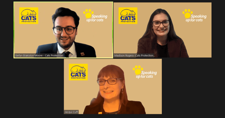 MPs and peers back cat microchipping campaign