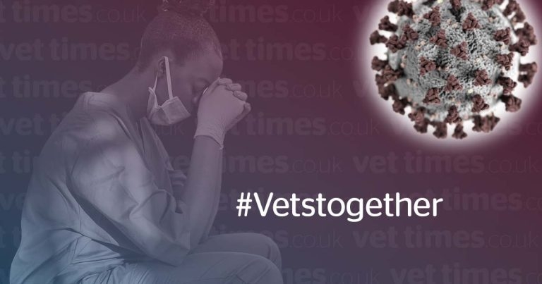 Stress and burnout top vets’ COVID concerns