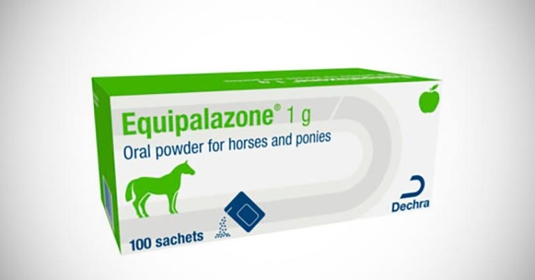 Apple-flavoured equine pain relief launches