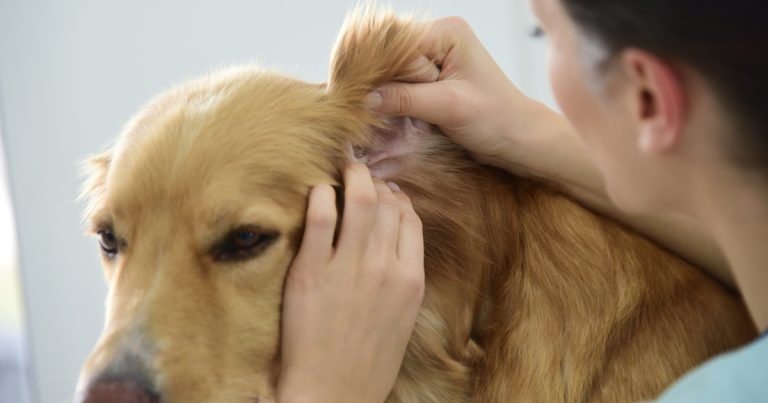 Ceva extends skincare range