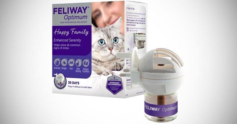 Ceva adds to pheromone range with Feliway Optimum