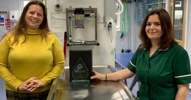 MSD bursary won by VN for first time