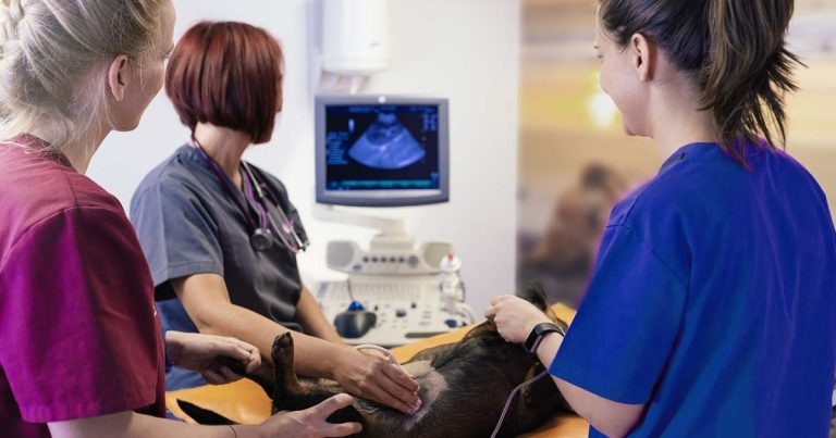 VBJ Business Insight: how to move forward and take your team with you