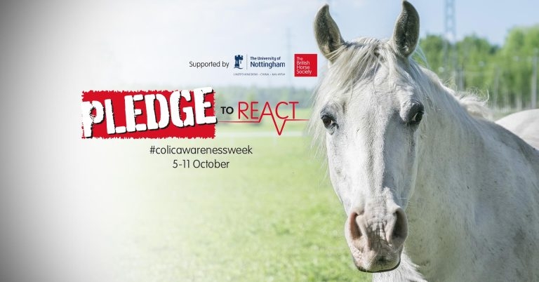 Free care plans offer supports Colic Awareness Week