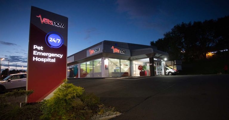 Practice Profile: Vets Now Hospital Manchester