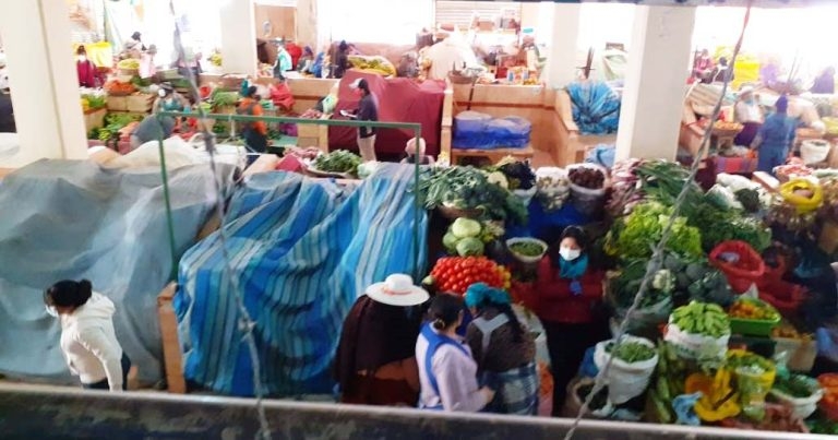 RVC wins funding for global COVID-19 research