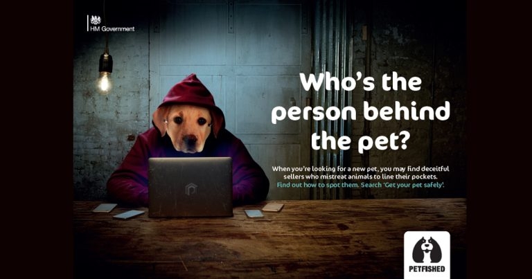 400% surge in puppy searches due as Christmas nears