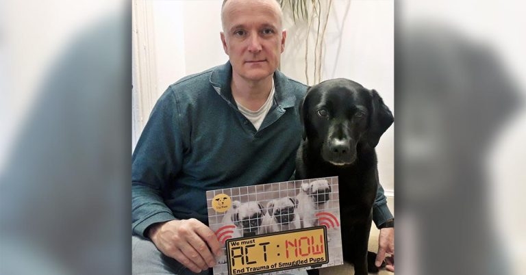 MP Neil Hudson joins puppy smuggling task force