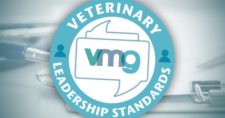 Most veterinary leaders rate skills as ‘basic’