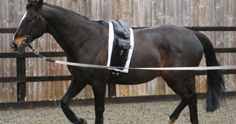 Diagnosing thoracolumbosacral pain: ridden versus genuine types