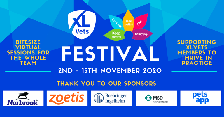 XLVets members kick back at COVID with online festival