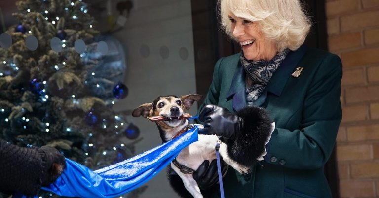 Royal visit as Battersea expands ahead of festive rush