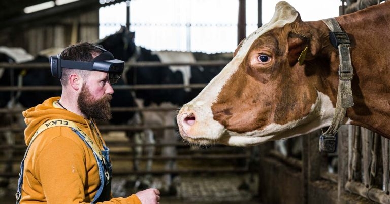 Game changer for dairy health