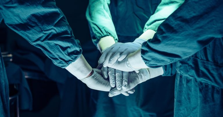 BVA: ‘Phenomenal’ profession will rise to challenge