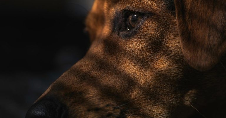 Gastrointestinal disease: new technologies aiding diagnosis