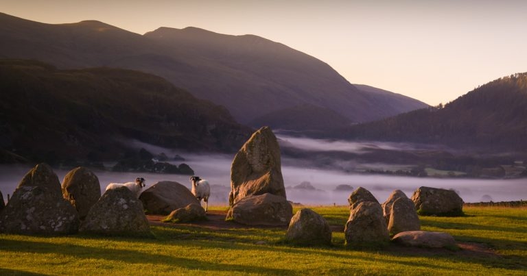 BVA seeks next star photographers