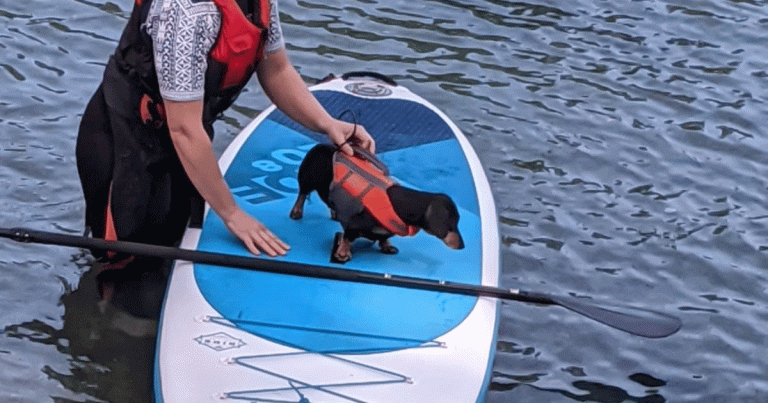 Pilates puts Pip back on feet