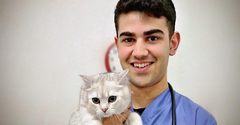 IVC Evidensia Academy opens for 2021 intake