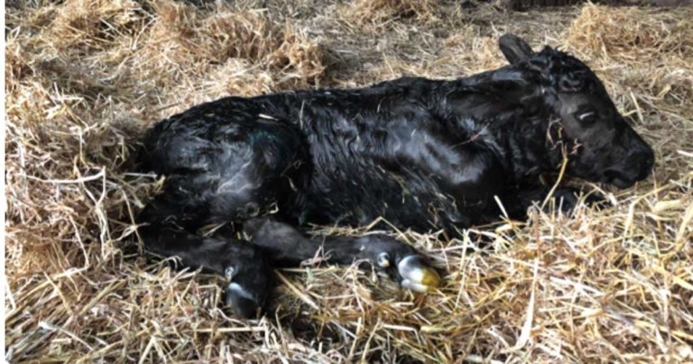 Improving parturition outcomes