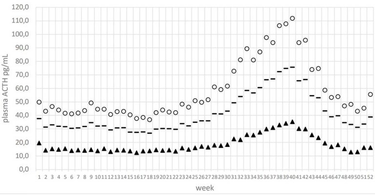 Update on endocrine disorders