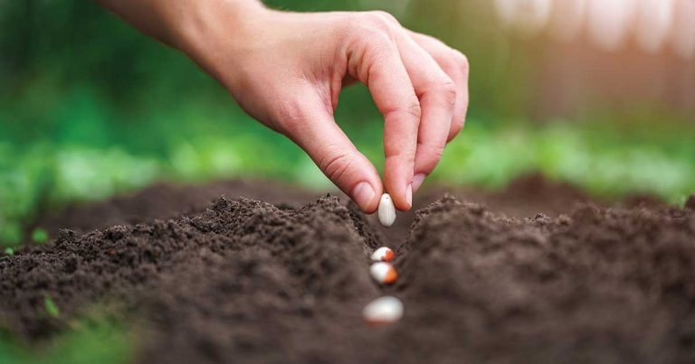 Recruitment crisis? How to grow your own