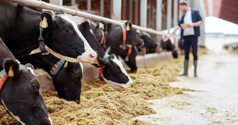 Mastitis control and prevention – including new initiative’s launch