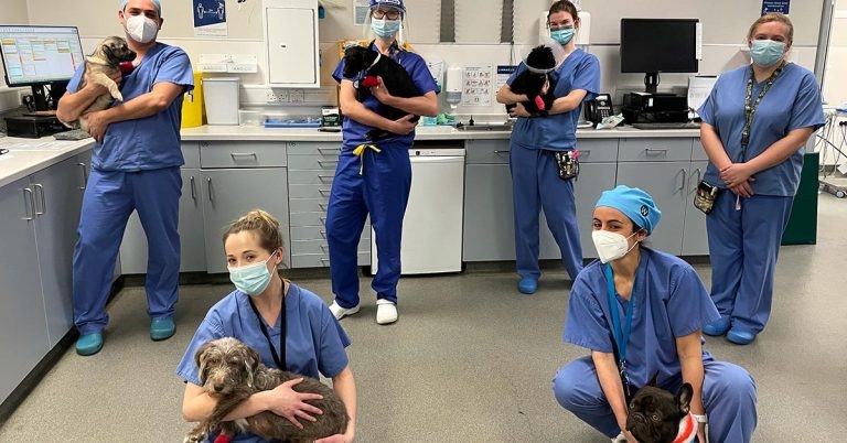 Specialist heart team claims UK first