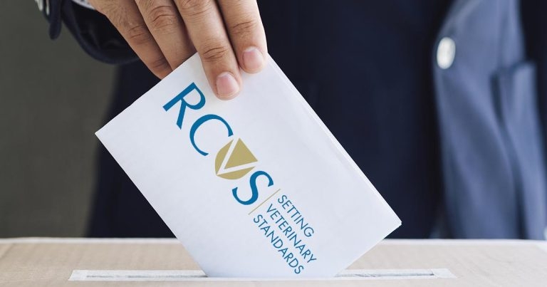 Turnout down again as RCVS announces election results