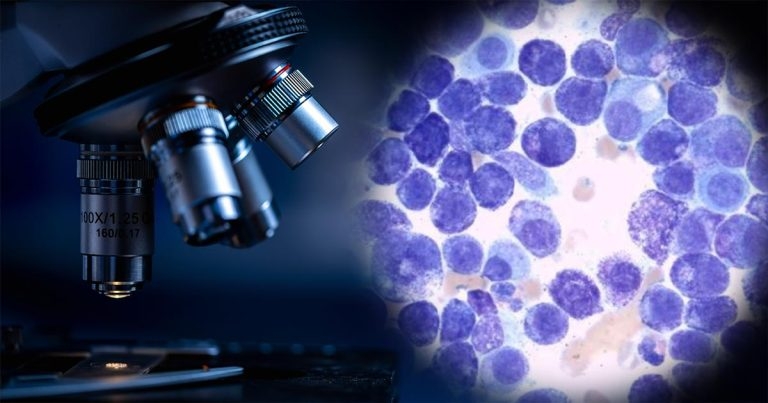 WSAVA survey highlights huge demand for oncology knowledge