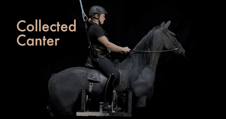 State-of-the-art riding simulator to get conference unveiling