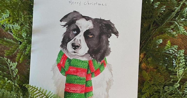 StreetVet launches Christmas card range