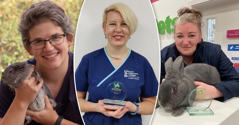 Burgess announces winners for vet awards