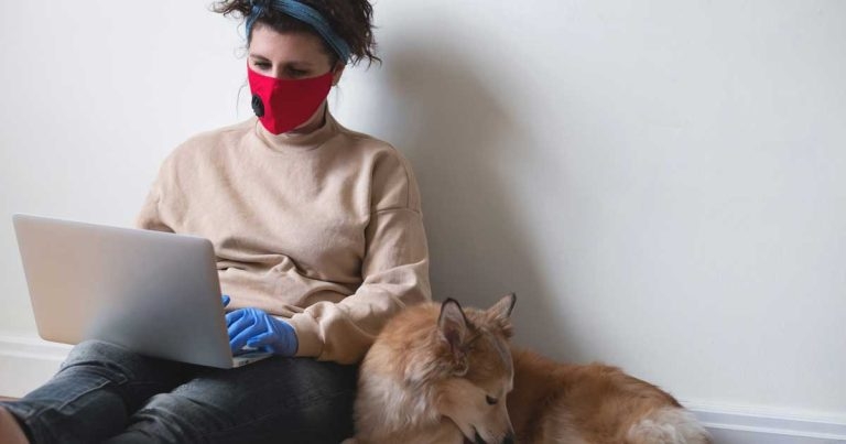 Future of EMS to be debated at RCVS stakeholder meeting