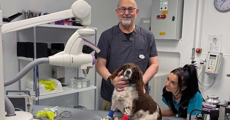 Referral practice offers first superficial radiation therapy service in UK