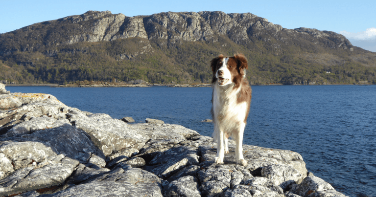 Eddie steady again after six weeks’ treatment