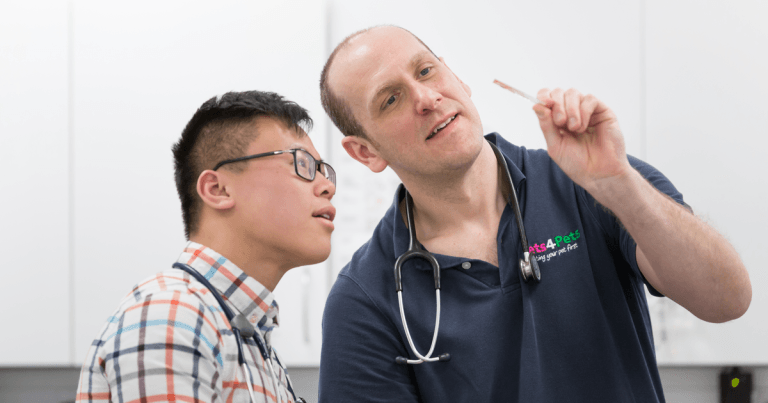 Vets4Pets invests £40,000 in new EMS bursary scheme