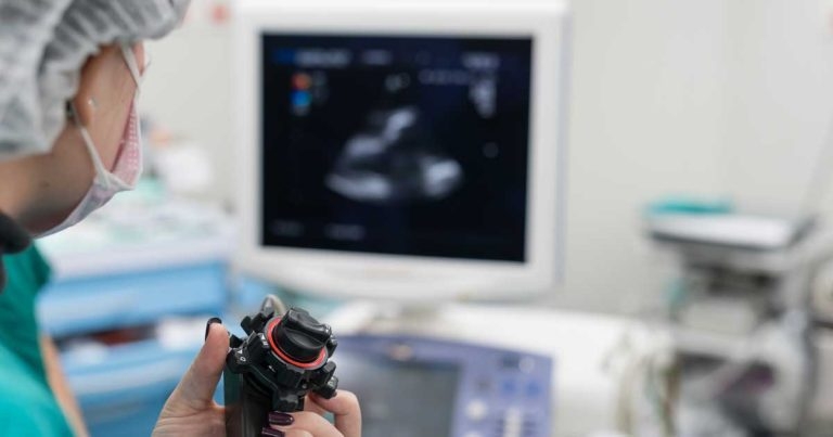 Spontaneous echo contrast in cardiac disease and IMHA