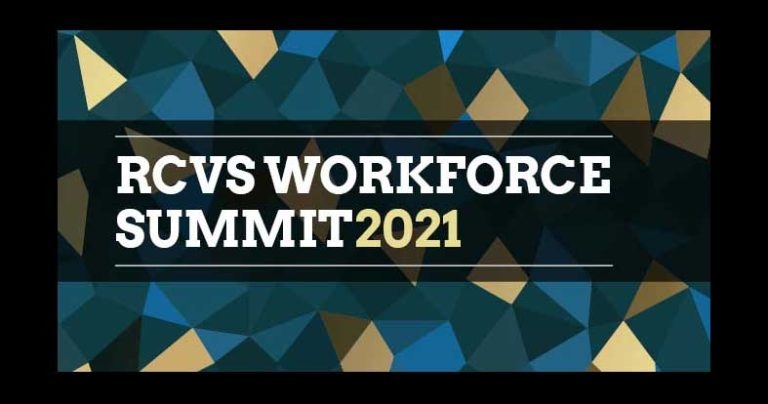 BVNA and RCVS unite to discuss VN workforce issues