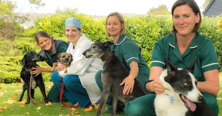 Davies to host open day for vet nurses